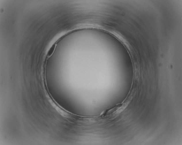 X0000074211438200609151545