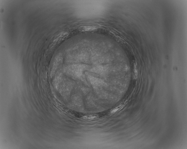 X0000074211441200609151544