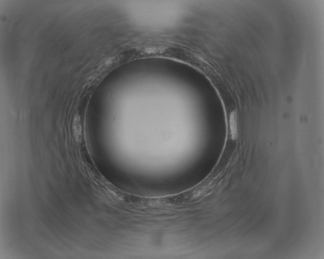 X0000074211443200609151544