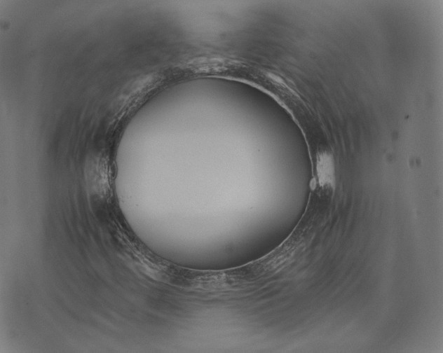 X0000074211444200609151544