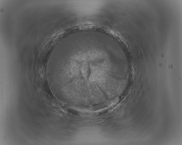 X0000074211445200609151544