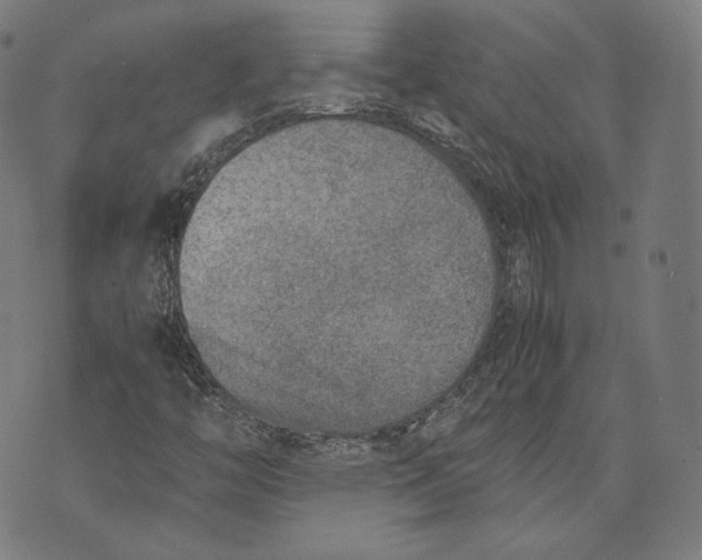 X0000074211446200609151544