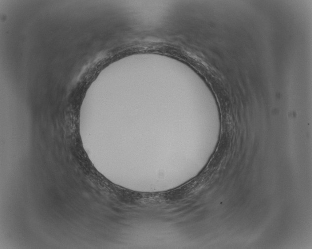 X0000074211447200609151544