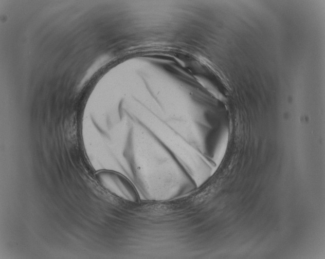 X0000074211450200609151544