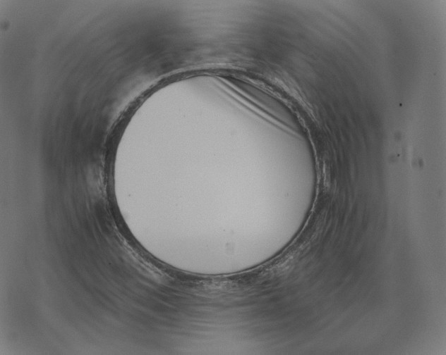 X0000074211452200609151544