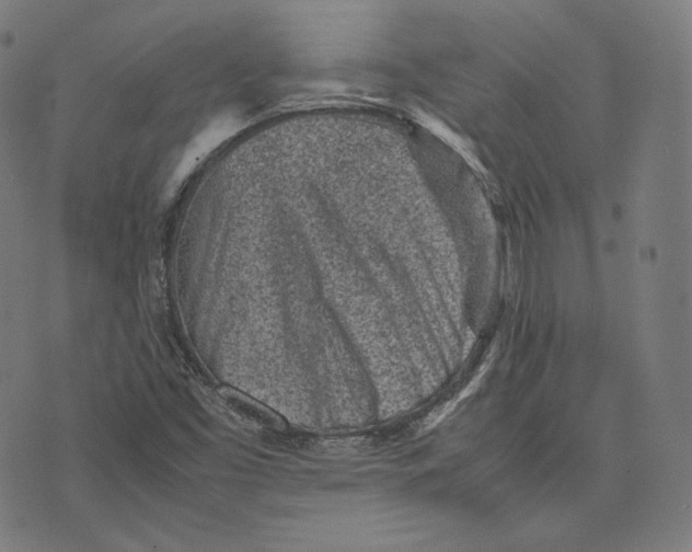 X0000074211453200609151544