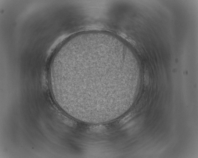 X0000074211454200609151544