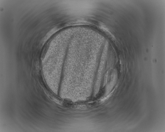 X0000074211457200609151544