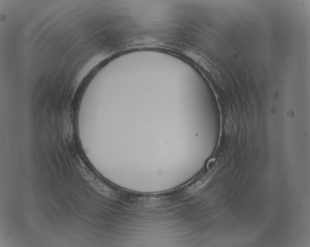 X0000074211458200609151544