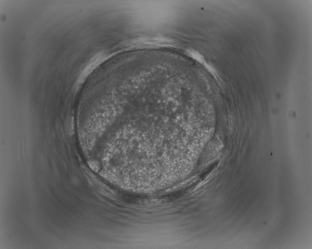 X0000074211459200609151544