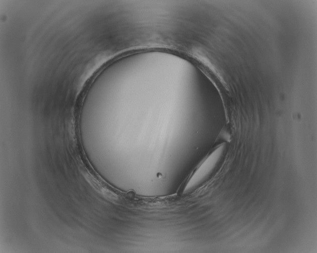 X0000074211460200609151544