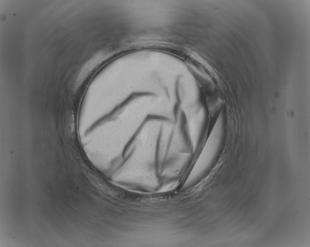 X0000074211461200609151544