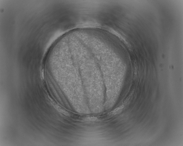 X0000074211462200609151544