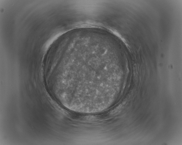 X0000074211463200609151544