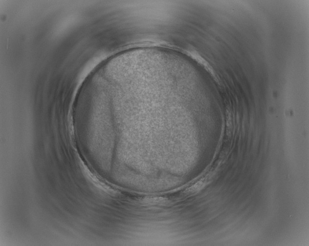 X0000074211466200609151544