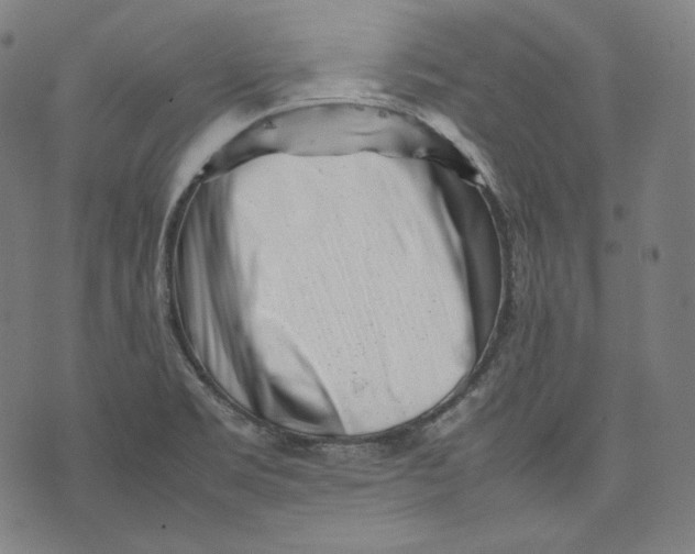 X0000074211469200609151544