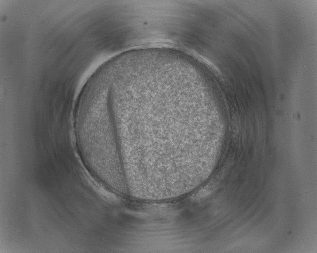 X0000074211470200609151544