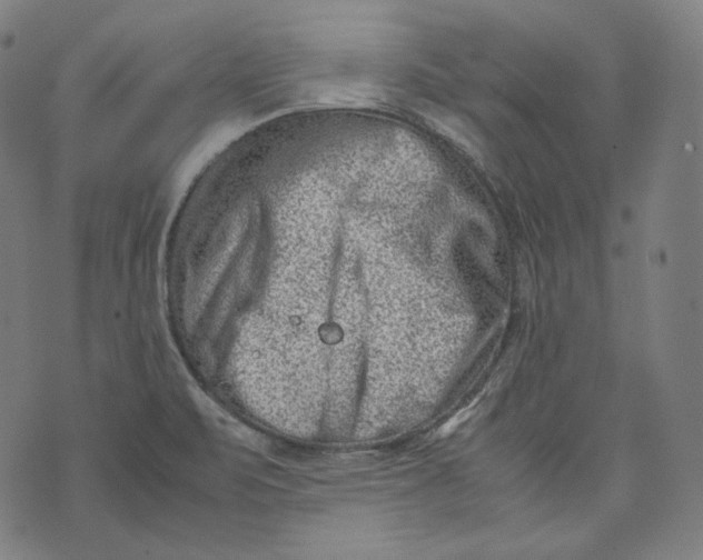 X0000074211471200609151544