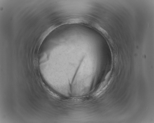 X0000074211473200609151544