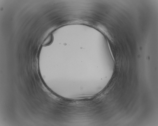 X0000074211476200609151544