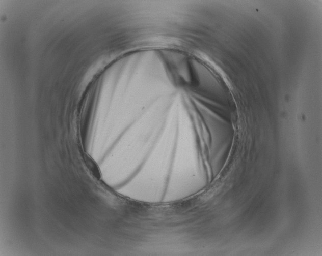 X0000074211477200609151544