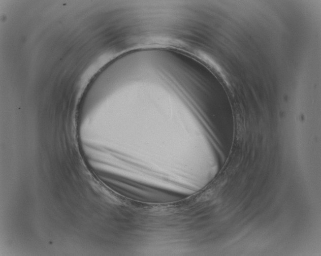 X0000074211480200609151544