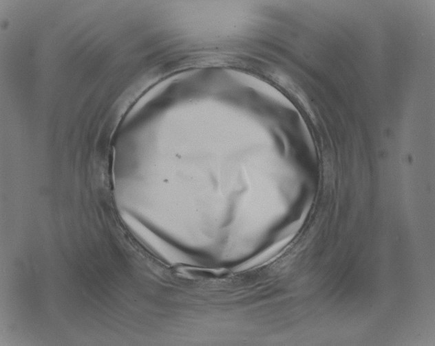 X0000074211481200609151544