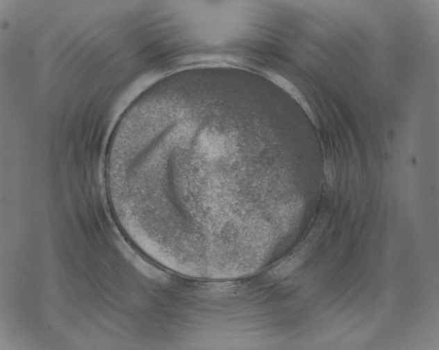 X0000074211482200609151544