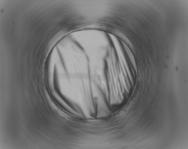 X0000074211483200609151544