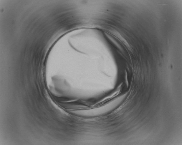 X0000074211484200609151544