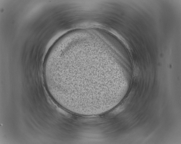 X0000074211486200609151544