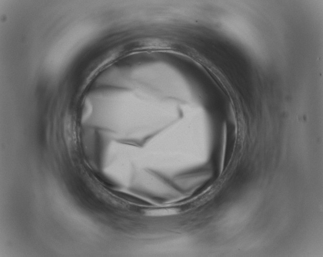 X0000074211487200609151544