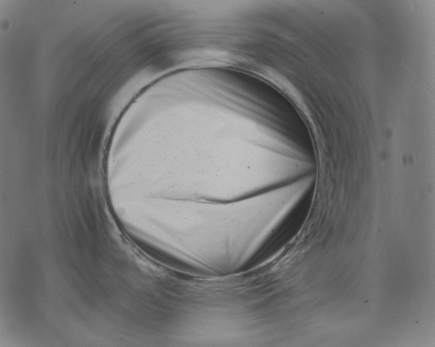 X0000074211488200609151544