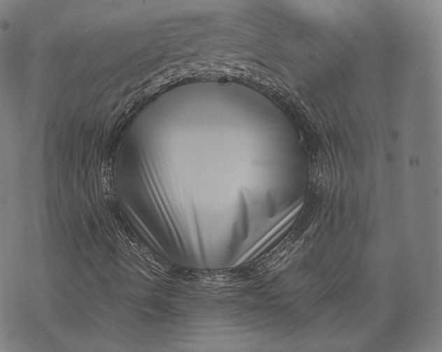 X0000074211490200609151543