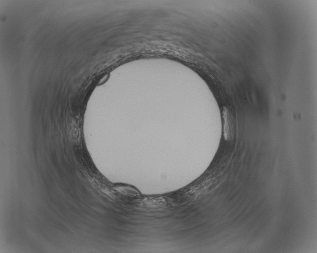 X0000074211491200609151543