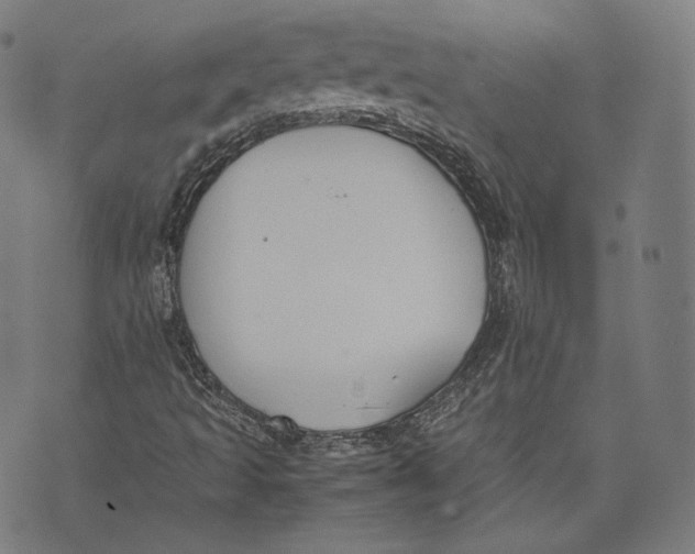 X0000074211493200609151543