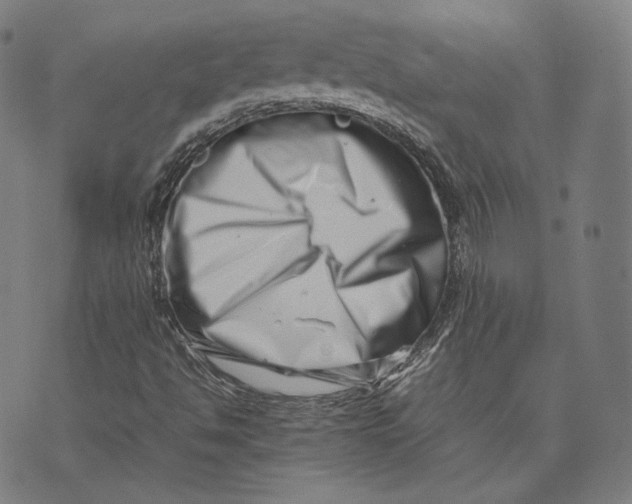 X0000074211494200609151543