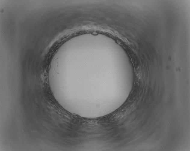 X0000074211495200609151543