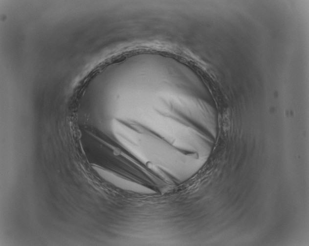 X0000074211496200609151543