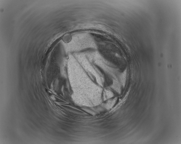 X0000074211497200609151543