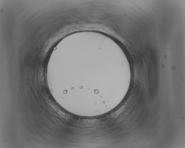 X0000074211498200609151543