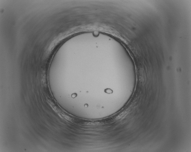 X0000074211499200609151543