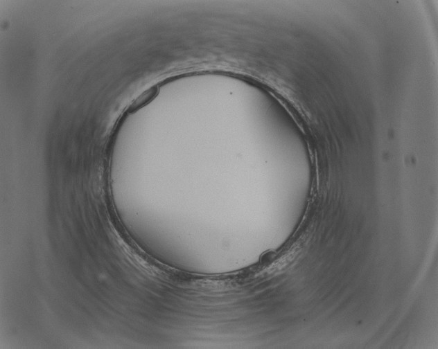 X0000074211500200609151543