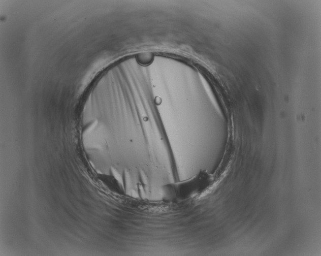 X0000074211501200609151543