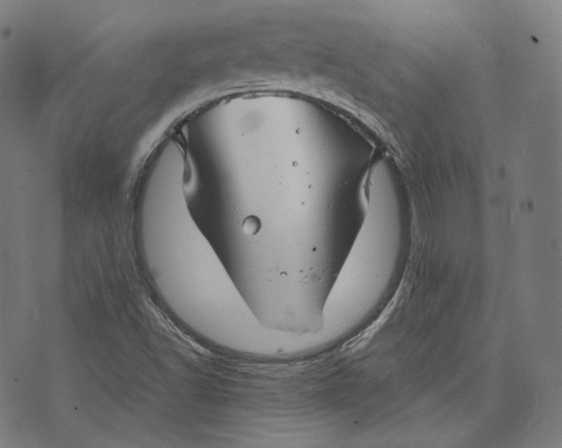 X0000074211502200609151543