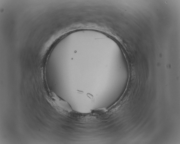 X0000074211503200609151543