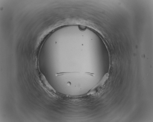 X0000074211507200609151543