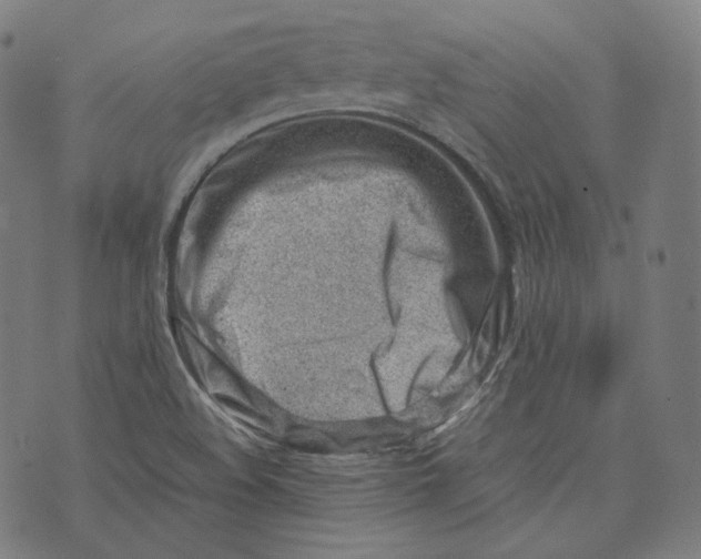 X0000074211508200609151543