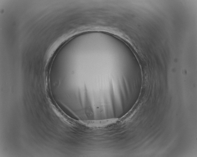 X0000074211511200609151543