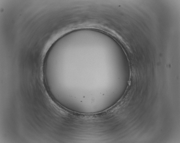 X0000074211512200609151543